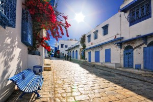 sidi bou said tunis info