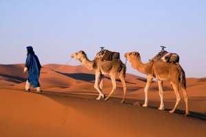 kamile placu