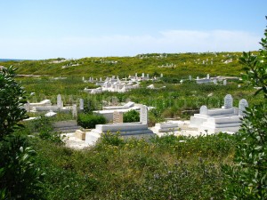 tunis tunisia mahdia mahdija Istorija Mahdije